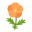 Orange-Mohnblumen