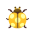Gelb-Marienkäfer