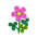 Pinkdornröschen