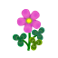 Pinkdornröschen