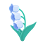 Blau-Maiglöckchen