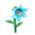 Blau-Glaslilie