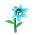 Blau-Glaslilie