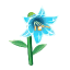 Blau-Glaslilie
