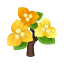 Gelb-Drillingsblumen