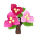 Rosa-Drillingblumen