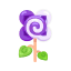 Pflaumen-Lollilie
