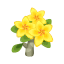 Gelb-Frangipani