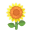 Gelb-Sonnenblume