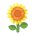 Gelb-Sonnenblume Gelb-Sonnenblume