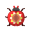 Hügel-Sonnenkäfer