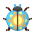 Morgentau-Sonnenkäfer