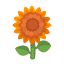 Orange-Sonnenblume