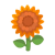 Orange-Sonnenblume
