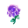 Lila-Gotikrose