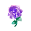 Lila-Gotikrose