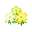 Gelb-Moosblüten