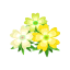 Gelb-Moosblüten