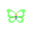Minz-Kirschblütler