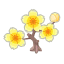 Gelb-Kirschblüten