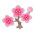 Rosa-Kirschblüten
