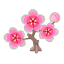 Rosa-Kirschblüten