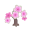 Rosa-Kirschblüten