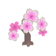 Rosa-Kirschblüten