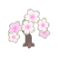 Weiß-Kirschblüten