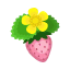 Rosa-Erdbeere
