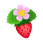 Rot-Erdbeere