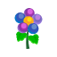 Blau-Beerenblüten