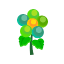 Grün-Beerenblüten