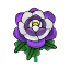 Lila-Papierrosen