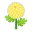 Gelb-Chrysanthemen