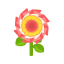 Rot-Rosetten
