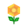 Orange-Kunstblütler