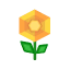 Orange-Kunstblütler