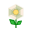 Weiß-Kunstblütler