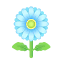 Blau-Gerbera