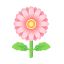Rosa-Gerbera