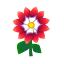 Rubindahlie