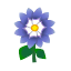 Saphirdahlie