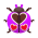 Himbeer-Herzkäfer