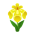 Gelb-Schwertlilie
