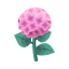 Rosa-Hortensie