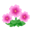 Rosa-Petunien