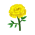 Gelb-Ringelblumen