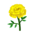 Gelb-Ringelblumen