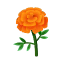 Orange-Ringelblumen